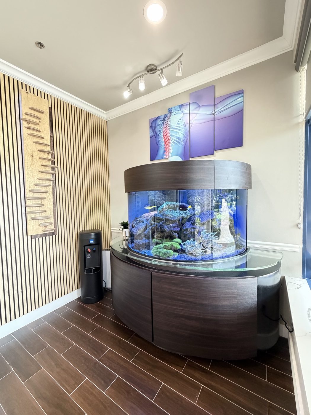 Parkland, FL Chiropractor | Dr. Jared Cohen | Coral Springs Chiropractor 5 Reception lounge with saltwater aquarium at The Spine and Wellness Center, Coral Springs FL